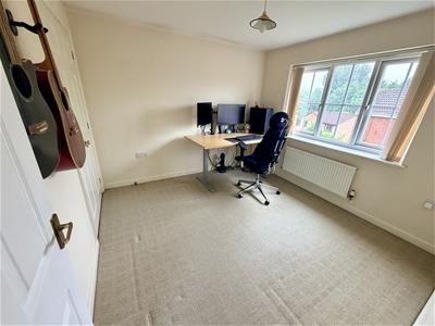 Picture 20